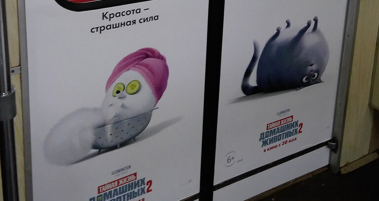 Брендирование дверей в вагонах метро. Первый фотоотчет