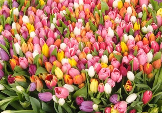 8 марта- на канале Беларусь3