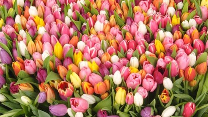 8 марта- на канале Беларусь3