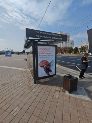 Фотоотчет наружной рекламы в Минске, сентябрь 2024 - Фото 9