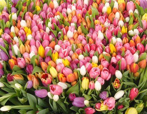 8 марта- на канале Беларусь3 - Фото 1