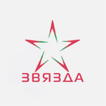Логотип телеканала «Звязда»